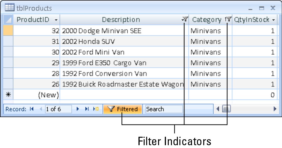 Using Filter by Selection. In this case, you see all records for minivans except 2003 Mini Van records.